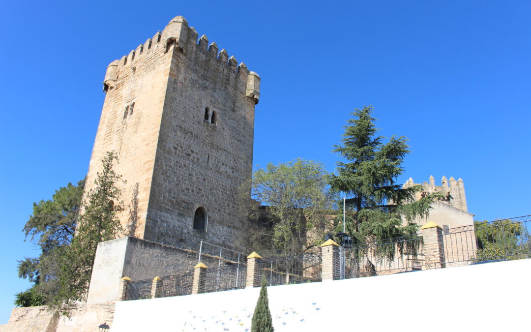 Ducal de Frías’s Castle