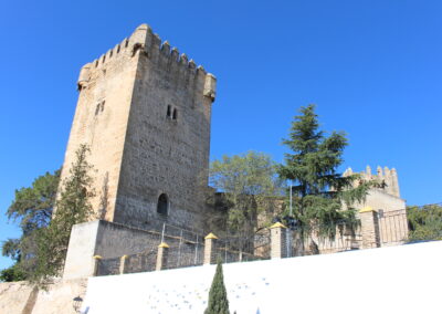 Ducal de Frías’s Castle