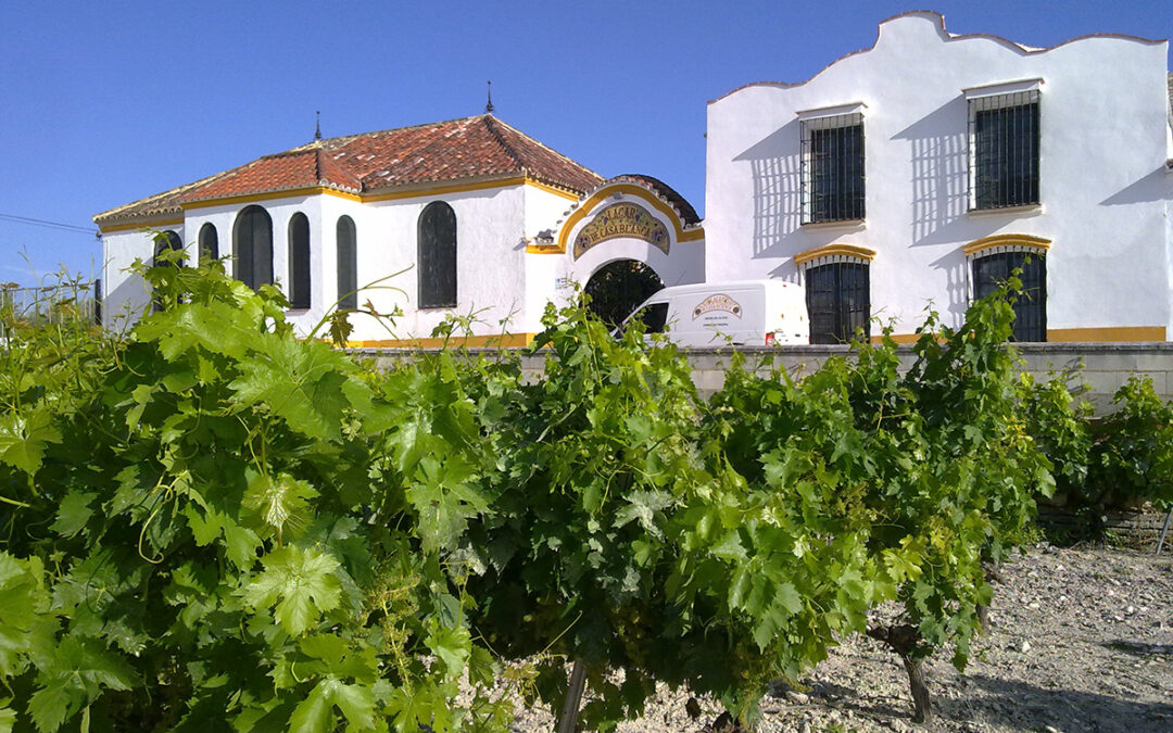 Bodega Lagar de Casablanca