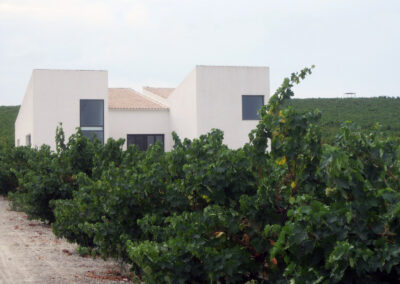 Das Zentrum Cultura del Vino