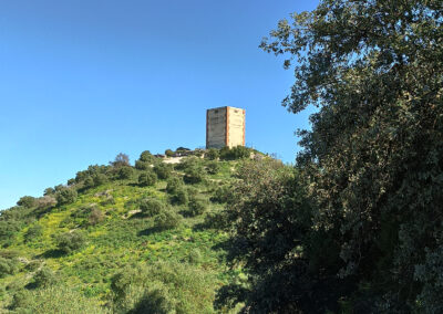 Castillo Anzur