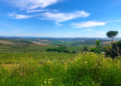 Wanderweg Camino del Término – Era del Mirador