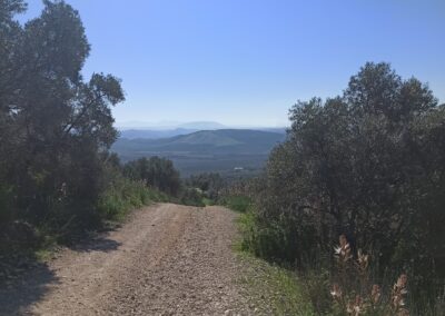 Las Sierras de Puente Genil