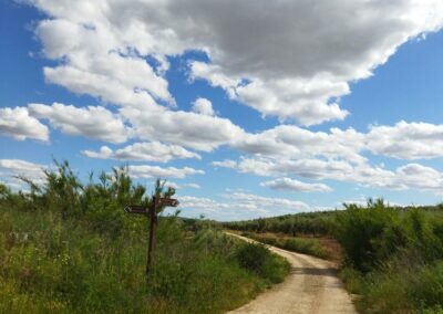 Ruta Cross Batalla de Munda