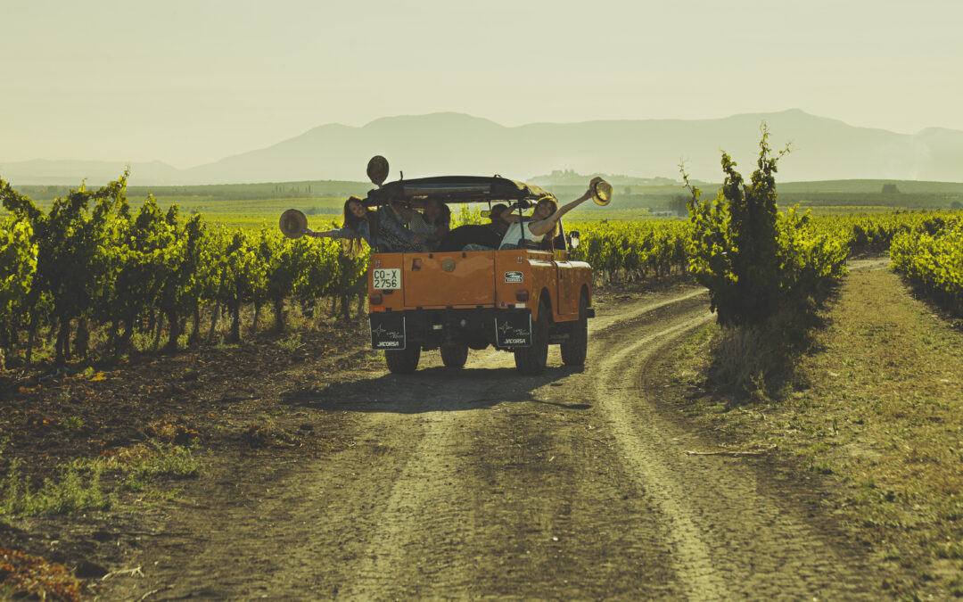Road Trip para almas foodies por la Ruta del Vino Montilla-Moriles