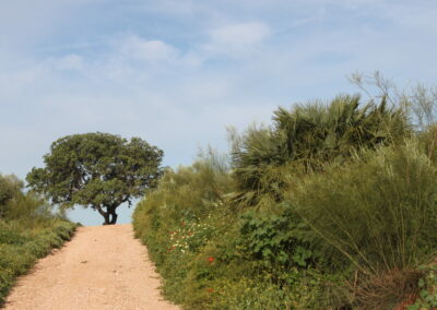 Ruta de las Veredas